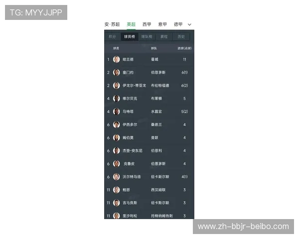 英超历届最佳球员名单及其职业生涯精彩表现回顾