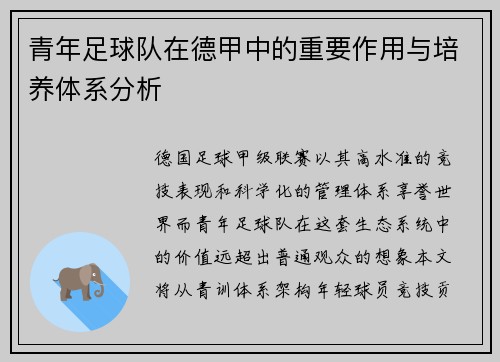 青年足球队在德甲中的重要作用与培养体系分析